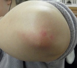 OLYMPUS DIGITAL CAMERA